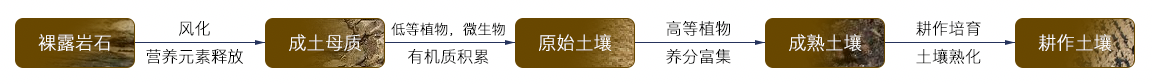 7917_116v_7988.png